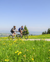 Zwei Mountainbiker im Grünen