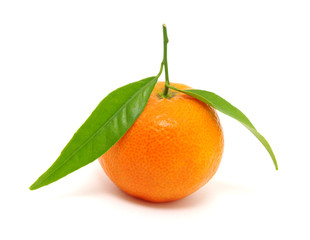 mandarin