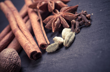 Spices set.Various seasonings for cooking, anise, cardamom, clov