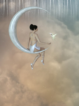 fairy in the moon
