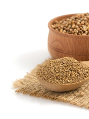coriander spices in spoon on white