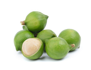 fresh macadamia nut on white background