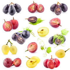 Collection of Ripe grape berries