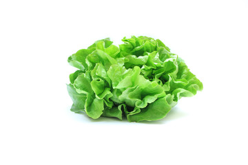 Lettuce