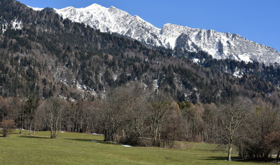 Fototapeta na wymiar suisse alpine