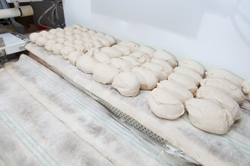 Bread dought pieces before fermentation