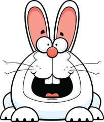 Cartoon Bunny Happy