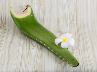 Aloe vera