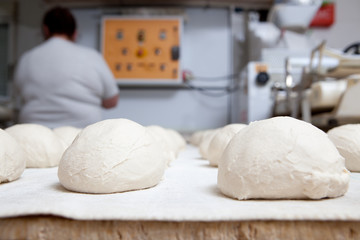 Bread dough before fermentation