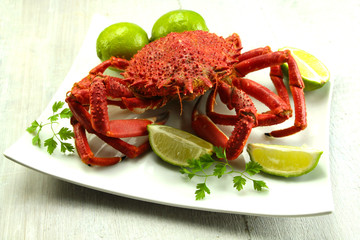 araignée de mer