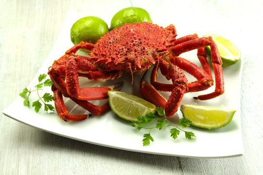 araign&eacute;e de mer