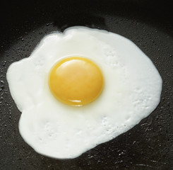 A fried egg in a pan