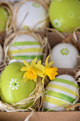 bemalte Ostereier mit zwei Narzissenblüten