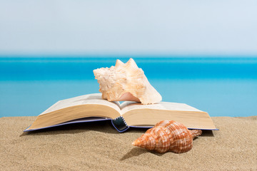 Book on the beach