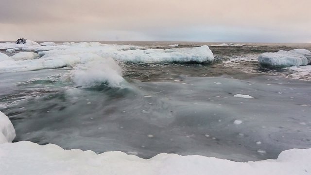 Arctic freezing sea - Spitsbergen, Svalbard