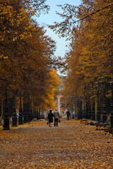 Photo of two elderly people walking on the autumn alley