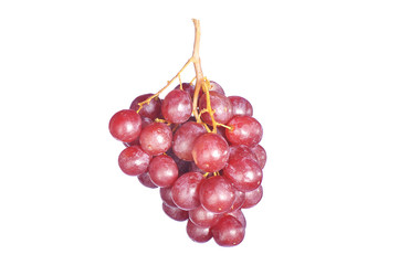 red grape isolated on white