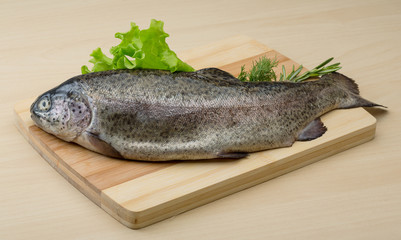 Raw fresh trout