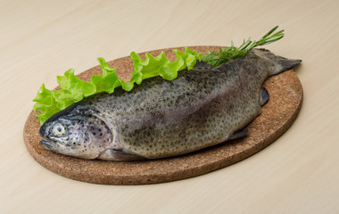 Raw fresh trout