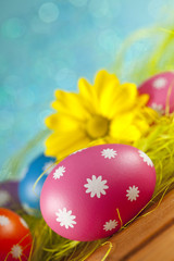 Colored Easter eggs and flowers on blue background