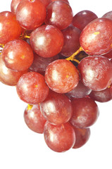 close up red grape isolated on white