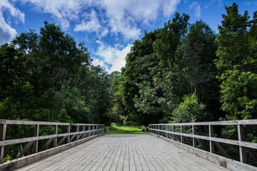Fototapeta na wymiar bridge with wooden flooring in the forest