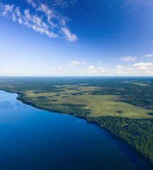 Forest lake, top view