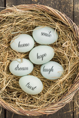 Eggs with messages