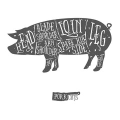 American cuts of pork, vintage typographic butcher cuts scheme