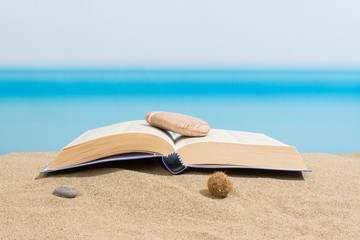 Book on the beach