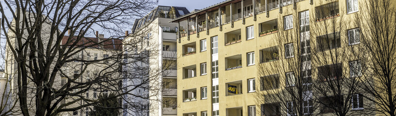 buildings and trees in the city on a sunny winter day