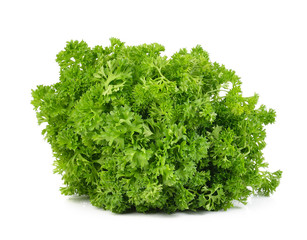 green leaves of parsley isolated on white background
