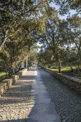 Fototapeta na wymiar View of rural cobblestone road near Fatima, Portugal.