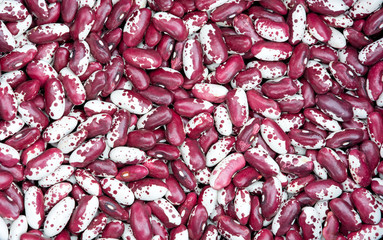 Red white kidney beans.