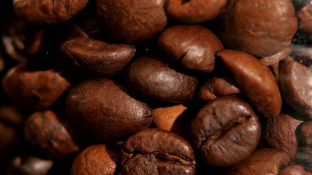 Lot of roasted coffee beans, rotation