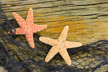 Two starfish and a fishnet on driftwood