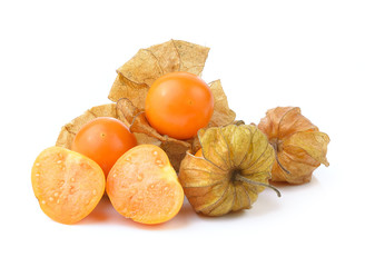 Physalis fruit on a white background