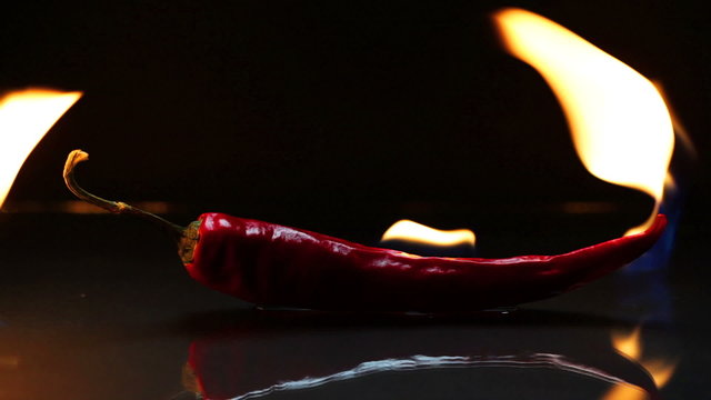 Burning chili pepper - very hot food