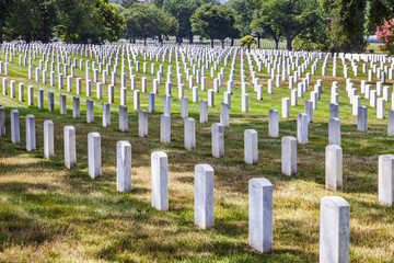 Fototapeta na wymiar Headstones at the Arlington national Cemetery