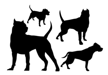amstaff silhouettes