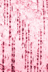 birch bark texture background