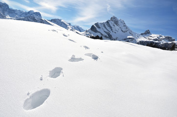 Footsteps on the snow. Swiss Alps