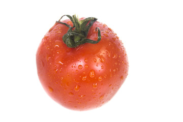 One red juicy tomatoes with dew drops