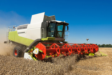 Obraz premium Mähdrescher beim Ernteeinsatz