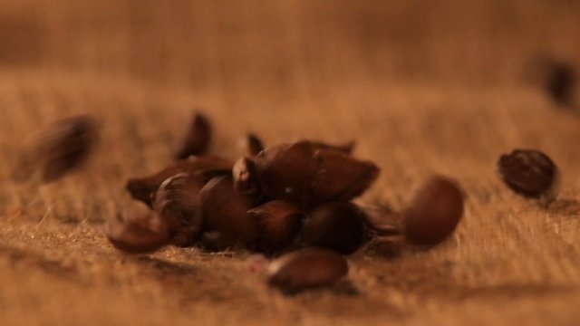 Anise on sacking, and falling coffee beans, close up