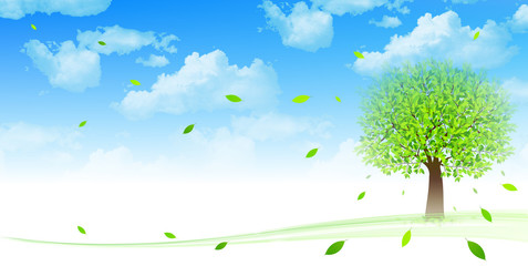 葉　新緑　背景