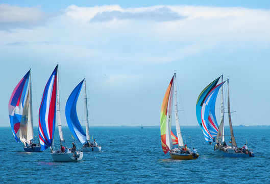 Sailboat Race With Colorful Sails