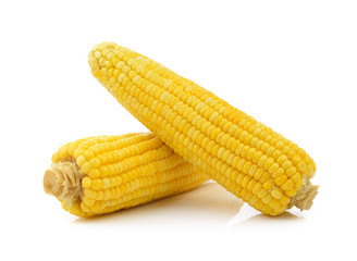 corn on white background