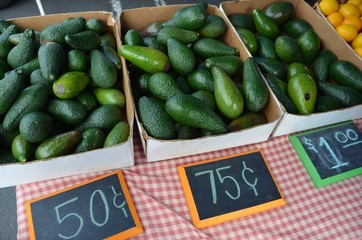 Avocados for sale at the outdoor market in Palm Springs