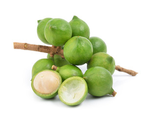 fresh macadamia nut on white background